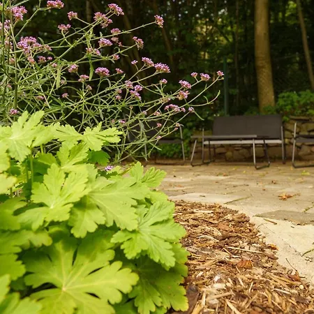 Waldhaeuschen Am Sonnenhof * קאסל