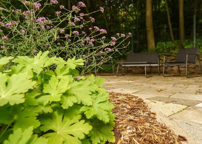 Waldhaeuschen Am Sonnenhof * Kassel